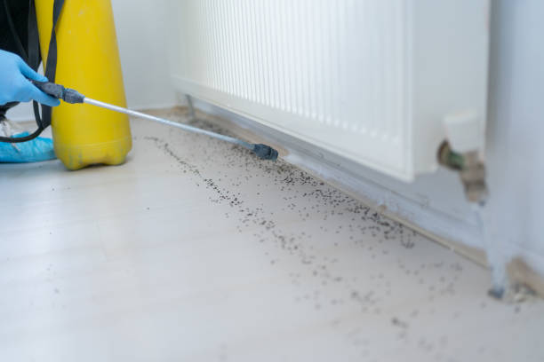Best Mosquito Control Services  in Gwinn, MI
